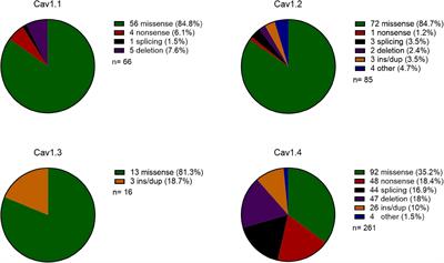 A Review of Genetic and Physiological Disease Mechanisms Associated With Cav1 Channels: Implications for Incomplete Congenital Stationary Night Blindness Treatment